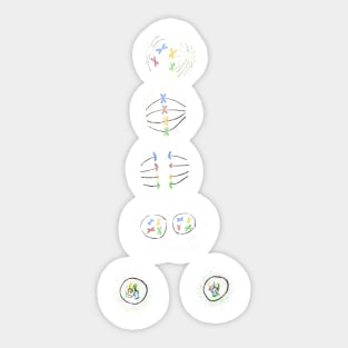 Mitosis Cell Division Biology Science Blue Sticker